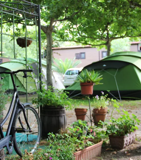 Camping con bungalow en Madrigal de la Vera Complejo Turístico La Mata Camping con bungalow en Madrigal de la Vera Complejo Turístico La Mata