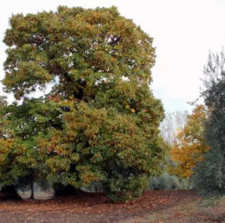Geografía, cimas y gargantas de Valle del Tiétar sur de Gredos Geografía, cimas y gargantas de Valle del Tiétar sur de Gredos
