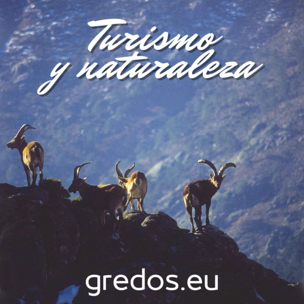 Turismo en la Sierra de Gredos Turismo Sierra de Gredos