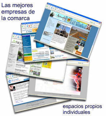 Top 10 Empresas y Profesionales