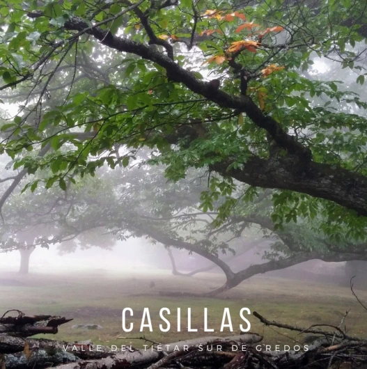 Casillas está lleno de lugares naturales de gran belleza, riqueza natural y paisajista